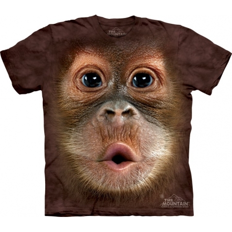 THE MOUNTAIN BIG FACE Baby Orangutan